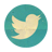  photo twitter-icon-1.png
