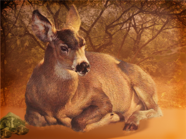 MulDeer-newSmall.png