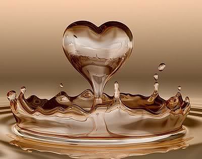 love drop Pictures, Images and Photos