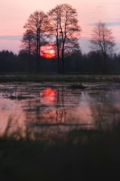 Dołączona grafika