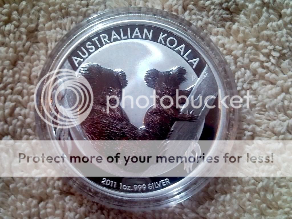 2011 AUSTRALIA KOALA