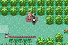 [PokeCommunity.com] We watch Matt go insane: Let's play Pokemon Emerald 386!